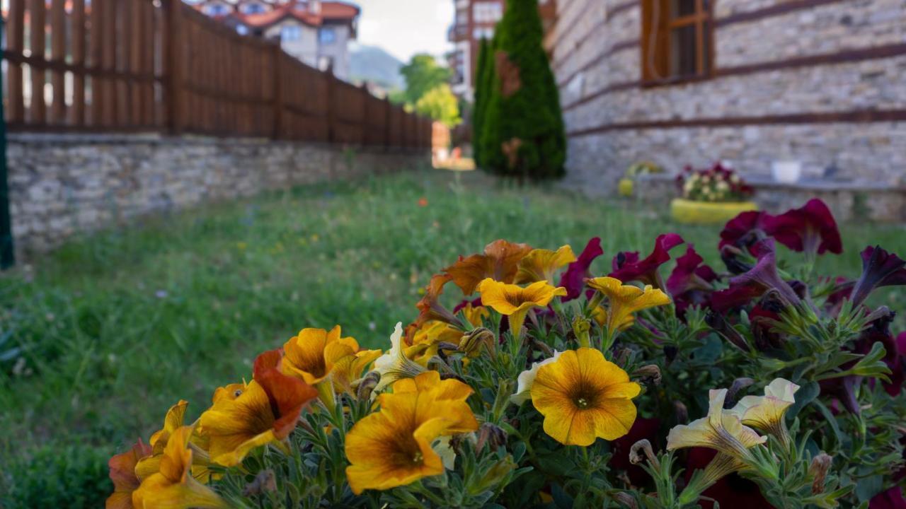Two Bedroom Apartments In Murphys Lodge Bansko Eksteriør bilde